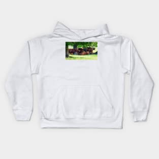 Highland cattle cows family having a rest in the cool shadow under trees Kids Hoodie